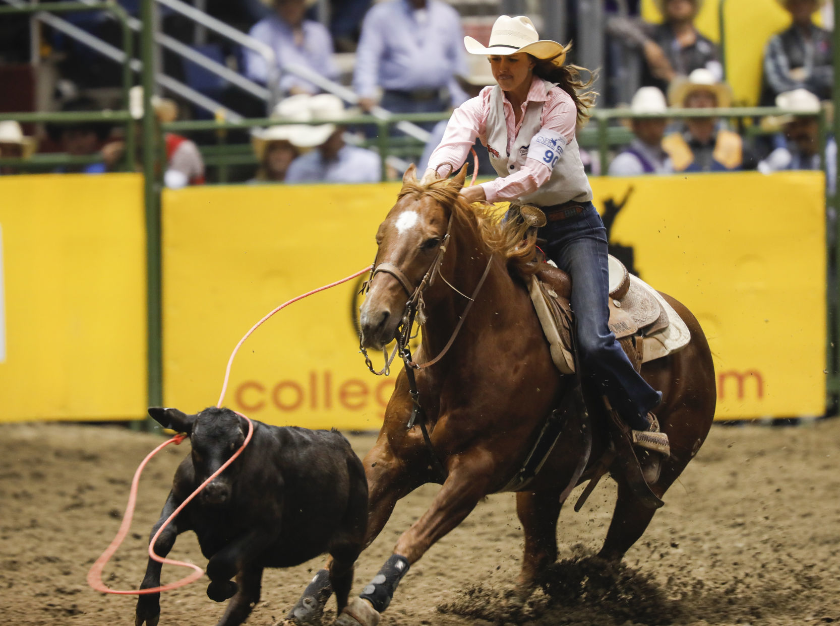 CNFR - Thursday